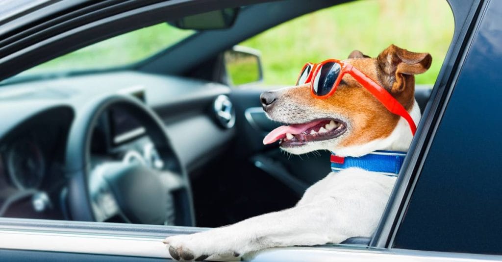 ahorra en gasolina diesel