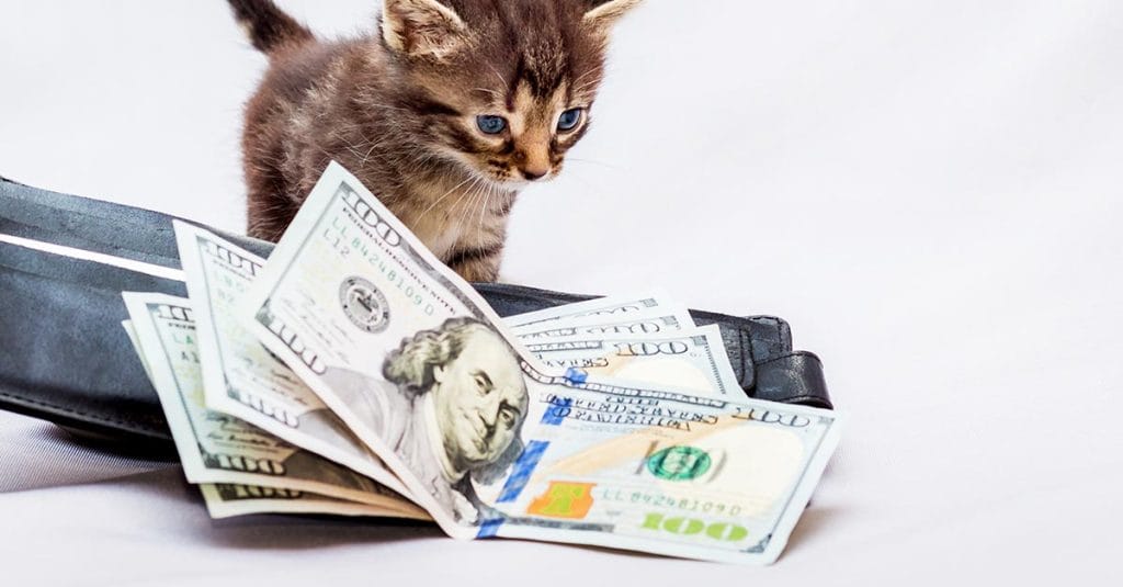 los mejores consejos financieros